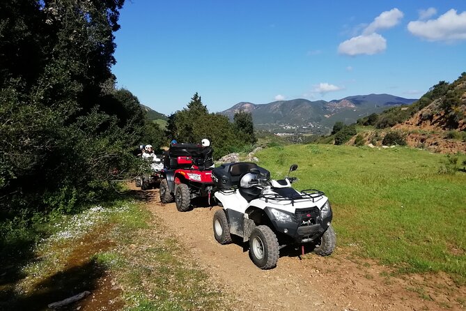 Cagliari: Quad Excursion Through Woods and Hills From Iglesias - Wildlife Encounters