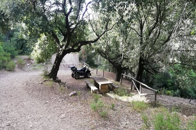 Cagliari: Quad Excursion Through Woods and Hills From Iglesias - Safety Precautions and Requirements