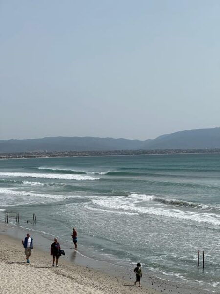 Cagliari Sea Experience - Booking Process and Requirements