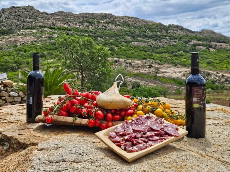 Cagliari: Traditional Cheese Making From Chia - The Cheese-Making Process