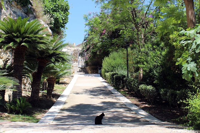 Cagliari Urban Trekking Experience: the City You Did Not Expect - Meeting and Pickup Details
