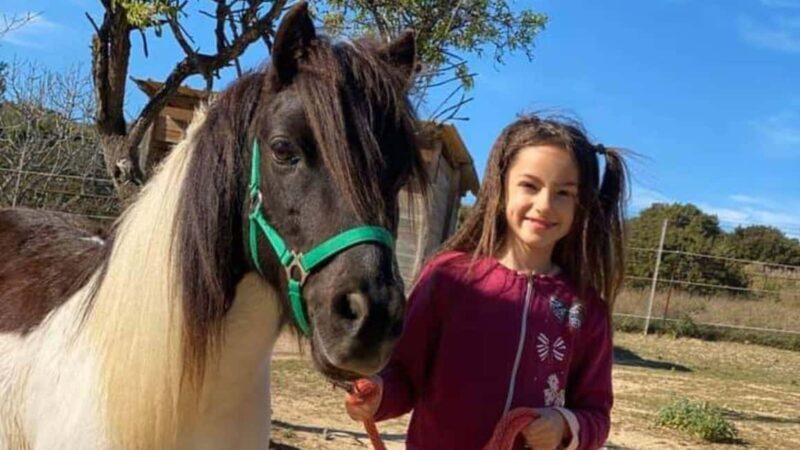 Cagliari: visit the animals of a farm - What to Expect on Your Farm Visit Near Cagliari