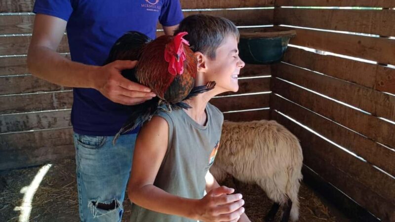 Cagliari: visit the animals of a farm - In-Depth Breakdown of the Experience