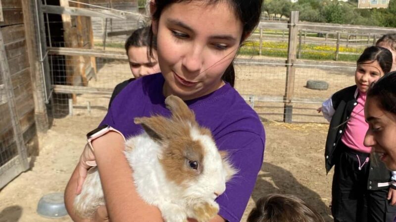 Cagliari: visit the animals of a farm - Who Will Love This Experience?