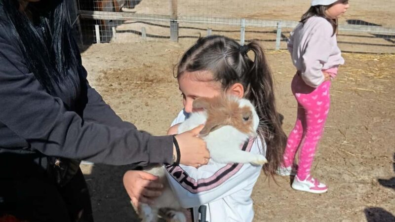 Cagliari: visit the animals of a farm - Final Thoughts