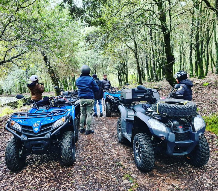 Cagliari: Waterfalls Quad-Atv Adventure From Domus De Maria - Tour Description