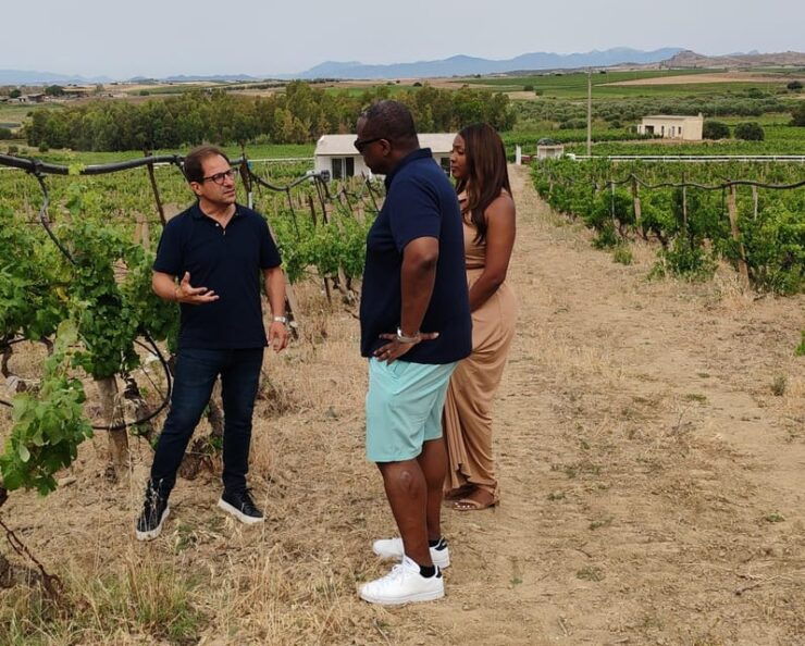 Cagliari: Wine and Olive Oil Experience + Oil Mill Museum - Exploring the Vineyard