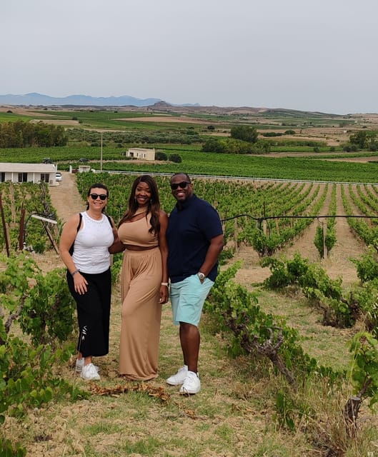 Cagliari: Wine and Olive Oil Experience + Oil Mill Museum - Olive Oil Production Insights