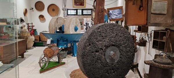 Cagliari: Wine and Olive Oil Experience + Oil Mill Museum - Booking Your Experience
