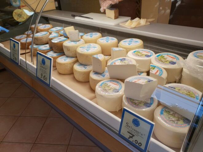 Cagliari: Wine, Cheese and Olive Oil Tasting Experience - Important Information