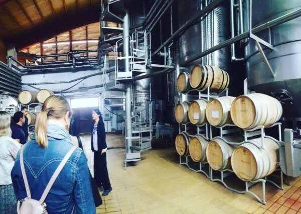 Cagliari: Wine, Cheese and Olive Oil Tasting Experience - Languages and Accessibility