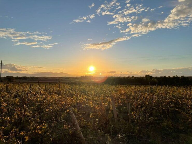Cagliari: Wine Experience With Sommelier and Naturetherapy - Experience Location