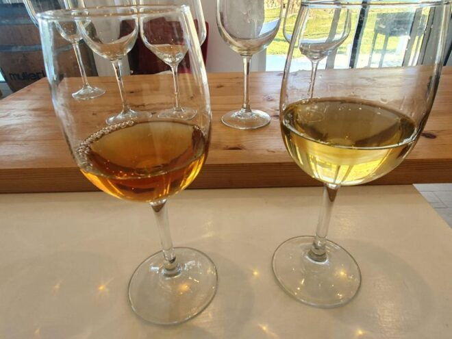 Cagliari: Wine Experience With Sommelier and Naturetherapy - Group Type