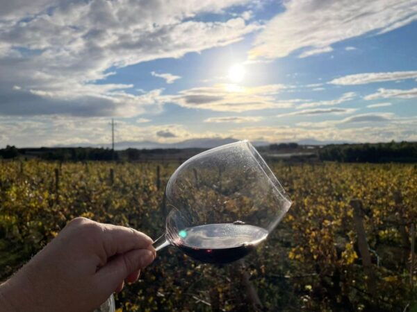 Cagliari: Wine Experience With Sommelier and Naturetherapy - Frequently Asked Questions