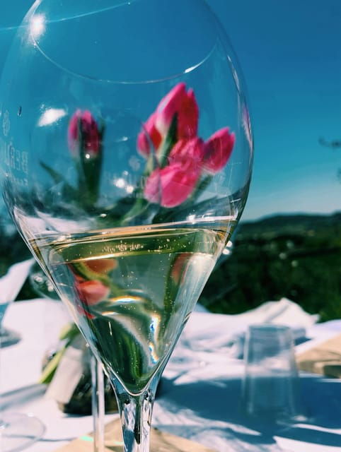 Cagliari: Wine Tasting Experience With a Sommelier - Good To Know