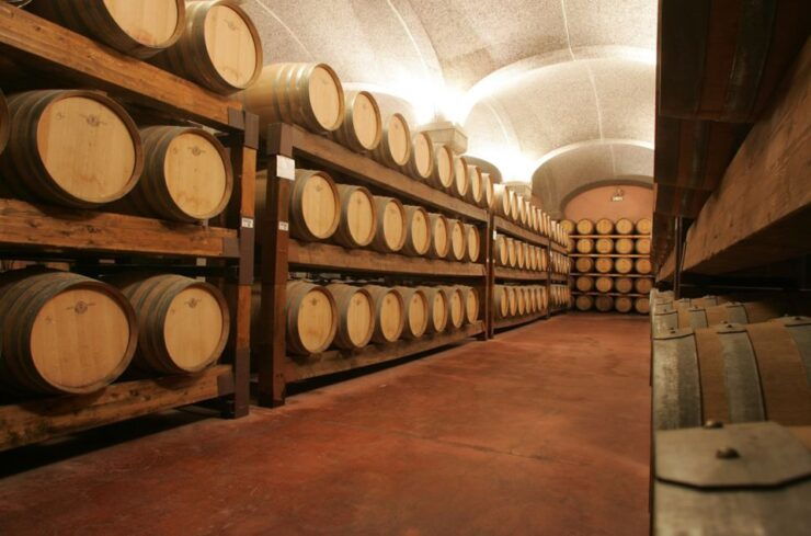 Cagliari: Wine Tasting & Winery Tour - Activity Description