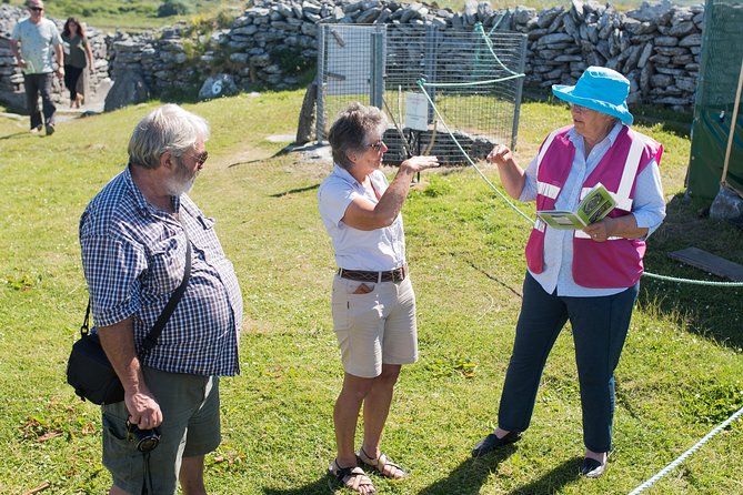 Caherconnell Fort & Sheepdog Demonstrations - Location and Overview