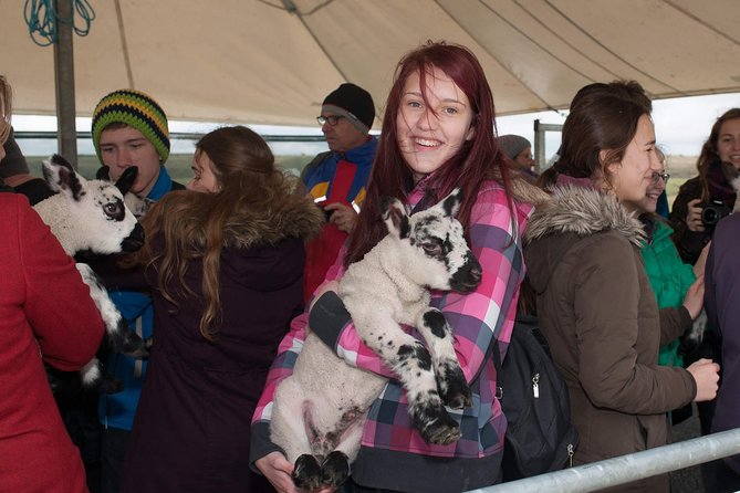 Caherconnell Fort & Sheepdog Demonstrations - Booking and Cancellation