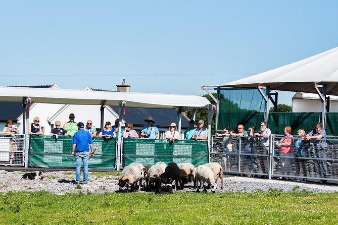 Caherconnell Fort & Sheepdog Demonstrations - Logistics