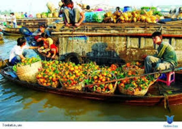 Cai Rang Famous Floating Market in Can Tho - Inclusions of the Tour