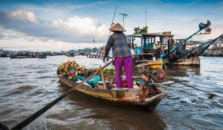 Cai Rang Floating Market and Mekong Delta 1 Day - Tour Description