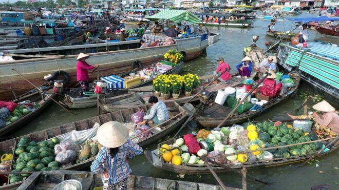 Cai Rang Floating Market & Mekong Delta Tour 2days, 1night - Inclusions and Benefits