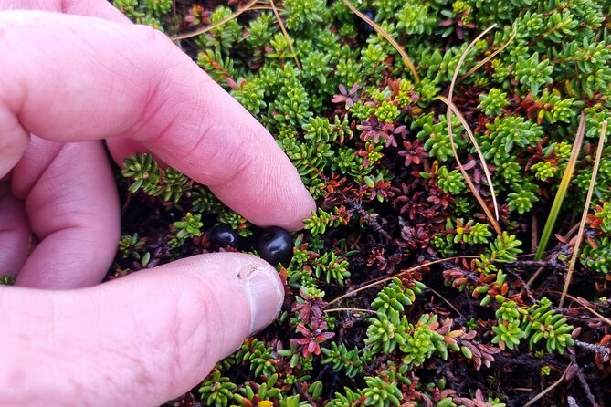 Cairn Gorm Mountain Adventure Private Hike - Common Questions