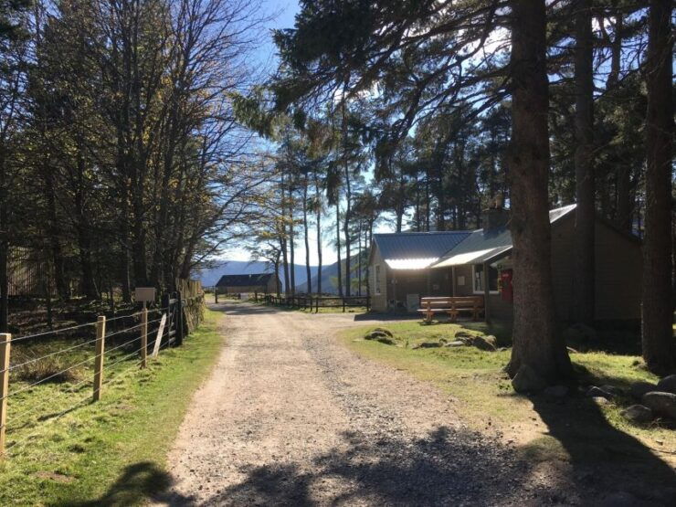 Cairngorms: Lochnagar Guided Walk - Tour Overview