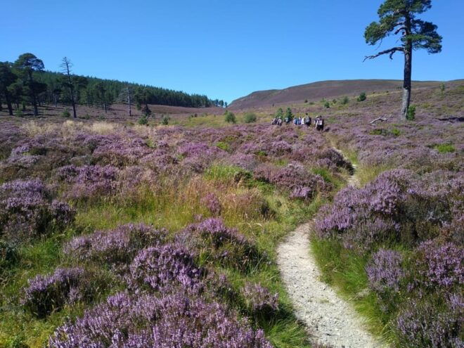 Cairngorms National Park: Mar Lodge Estate Guided Tour - Historical Significance