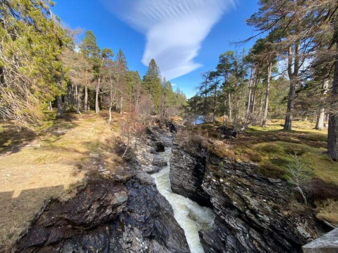 Cairngorms National Park: Mar Lodge Estate Guided Tour - Participant Requirements and Recommendations
