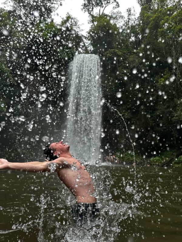 Cairns: 2-Day Atherton Tablelands & Cape Tribulation Tour - What Travelers Say