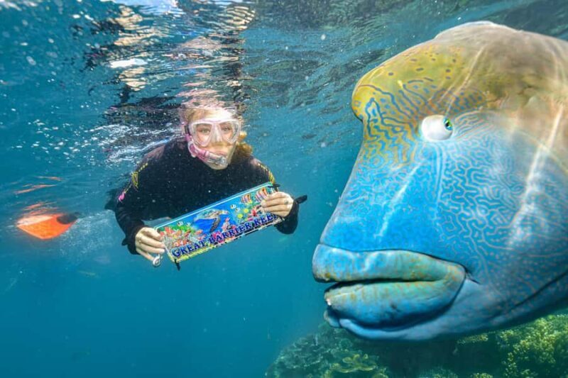 Cairns: 2-Day Barrier Reef Pontoon & Fitzroy Island Tour - The Sum Up  