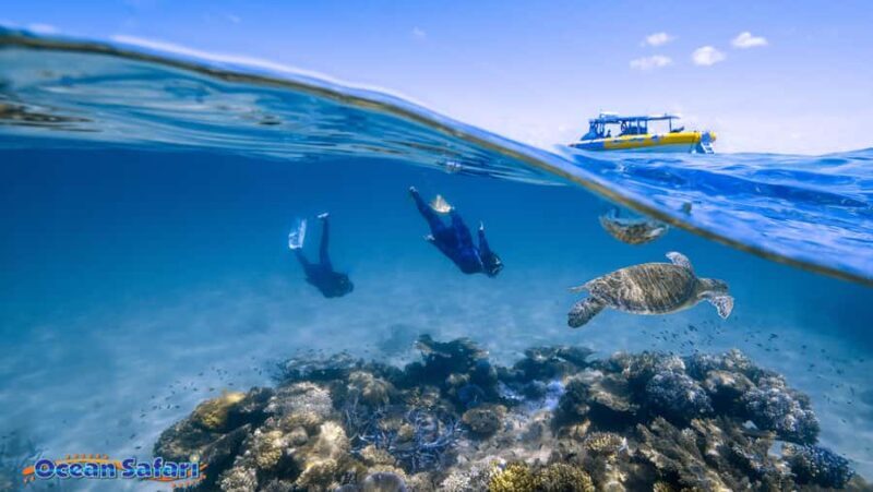 Cairns : 2 Days Daintree & Reef Experience - Value and Practicalities