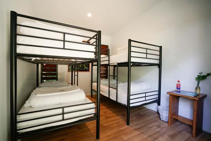 Cairns : 2 Days Daintree & Reef Experience - Authentic Experiences & Hidden Gems