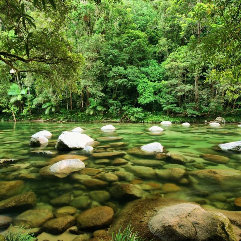 Cairns : 2 Days Daintree & Reef Experience - The Sum Up