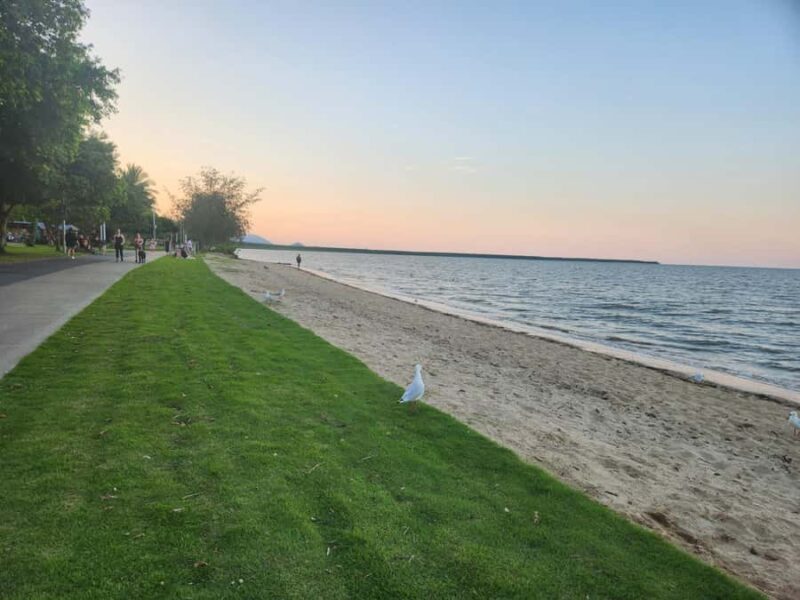 Cairns: 3 days - Daintree, Kuranda, Reef, Accommodation - Day 1: Diving into Daintree Rainforest