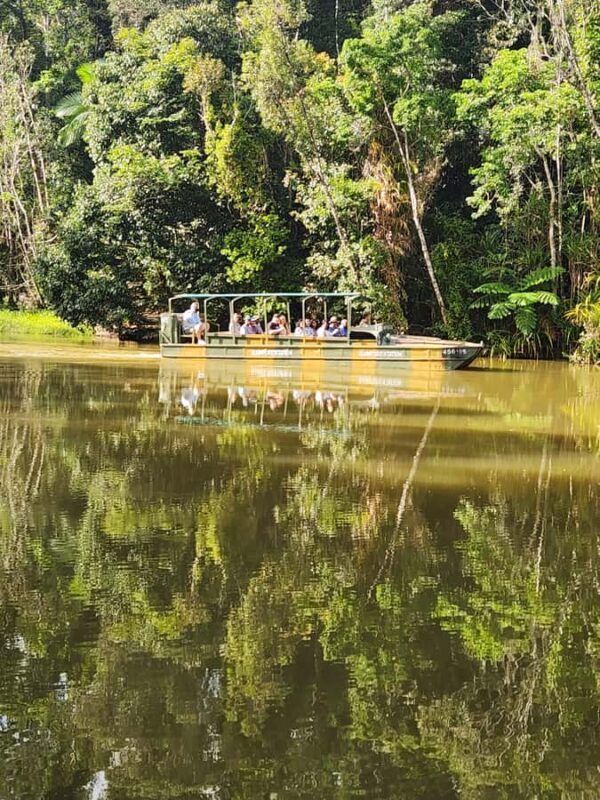 Cairns: 3 days - Daintree, Kuranda, Reef, Accommodation - Day 3: Reef and Island Escape to Green Island