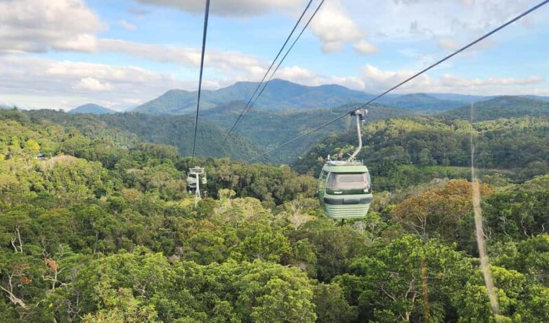 Cairns: 3 days - Daintree, Kuranda, Reef, Accommodation - Practical Details and Value
