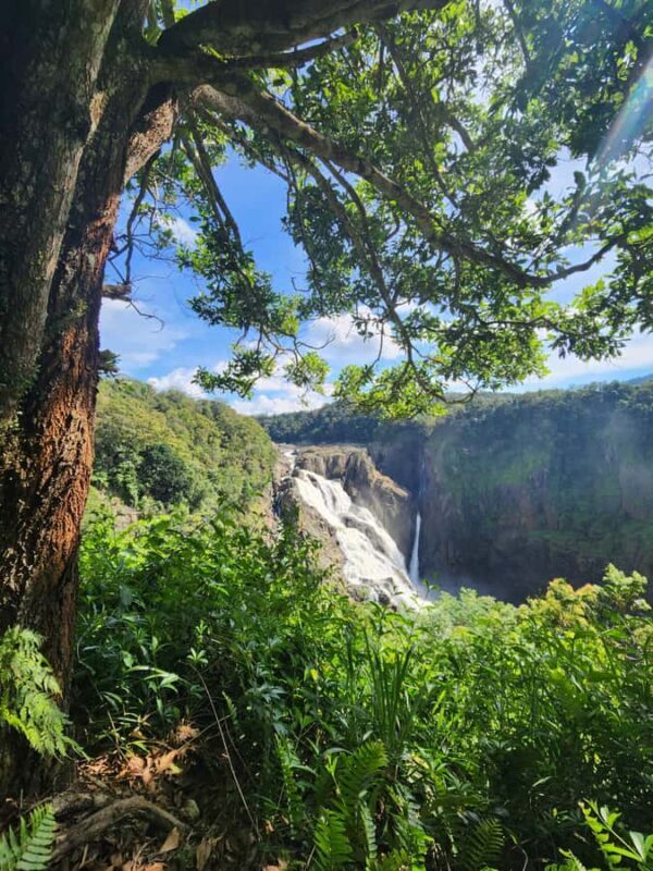 Cairns: 3 days - Daintree, Kuranda, Reef, Accommodation - The Sum Up: Who Is This Tour Best For?