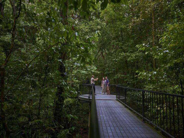 Cairns: Aboriginal Art and Culture Full-Day Trip With Lunch - Experience Highlights