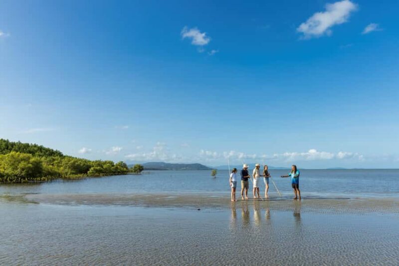 Cairns: Aboriginal Coastal Adventure & Mossman Gorge Tour - An In-Depth Look at the Cairns Aboriginal Coastal & Mossman Gorge Tour