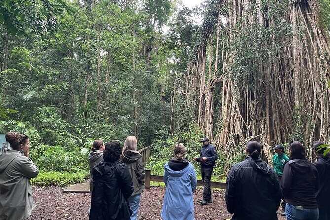 Cairns: Aboriginal Cultural Tour Atherton Tablelands - Final Thoughts