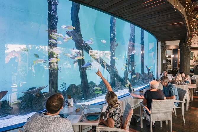 Cairns Aquarium by Twilight Tour and 3-Course Dinner - Overview of the Cairns Aquarium Tour
