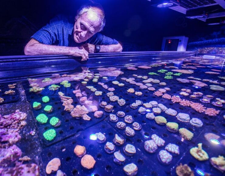 Cairns: Aquarium Entry Ticket and Coral Biobank Tour - Tour Highlights