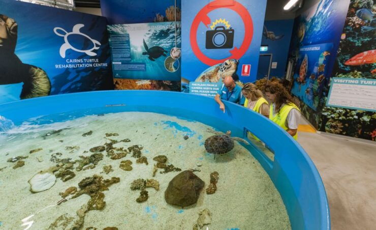 Cairns: Aquarium Entry Ticket and Turtle Rehabilitation Tour - Experience Details