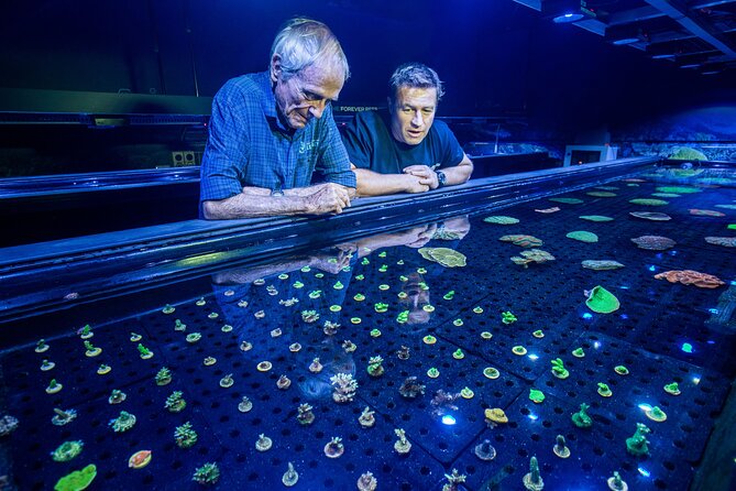 Cairns Aquarium General Admission & Coral Biobank Tour - Tour Highlights