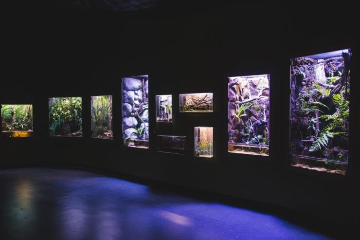 Cairns Aquarium General Admission Ticket - Ticket Details