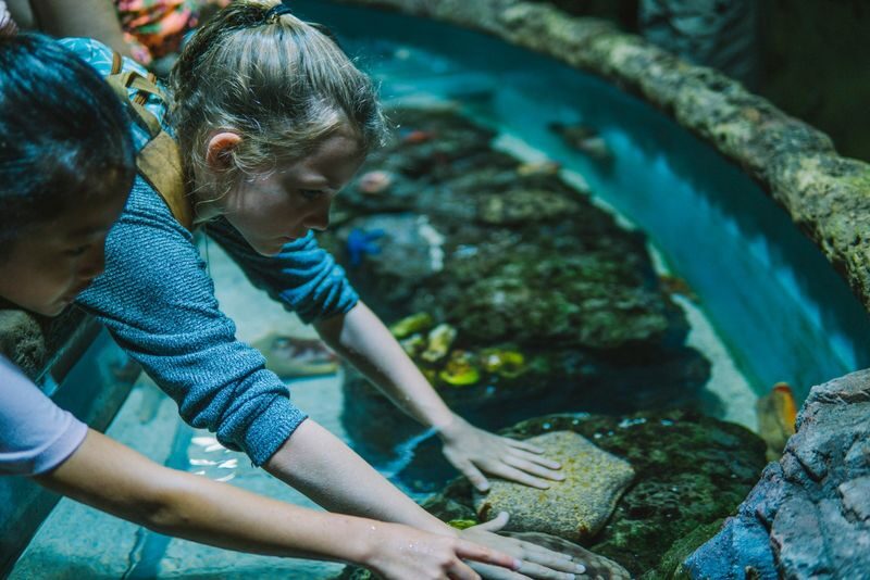 Cairns Aquarium Ticket - Talks and feeding times shape the visit