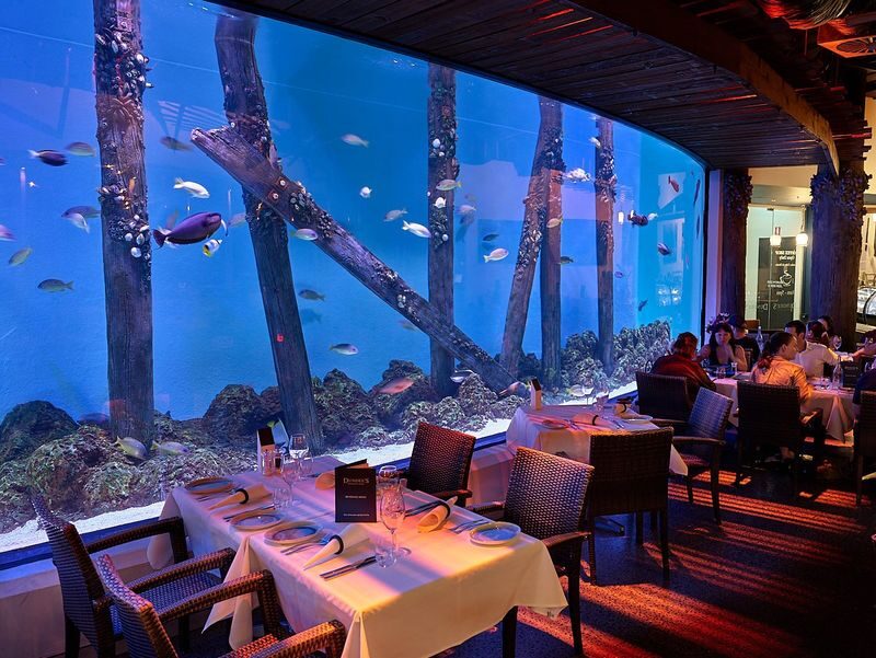 Cairns Aquarium Ticket - What the ticket includes, and where the value lies