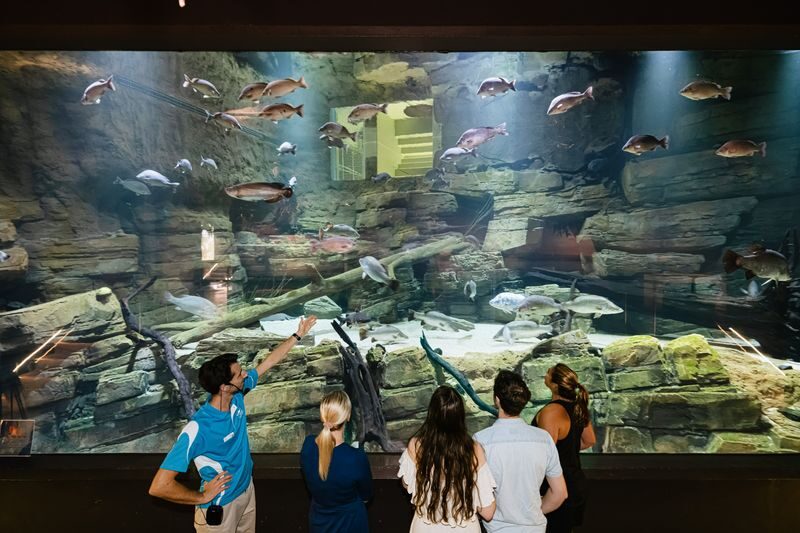 Cairns Aquarium Ticket - Getting there and planning around the hours